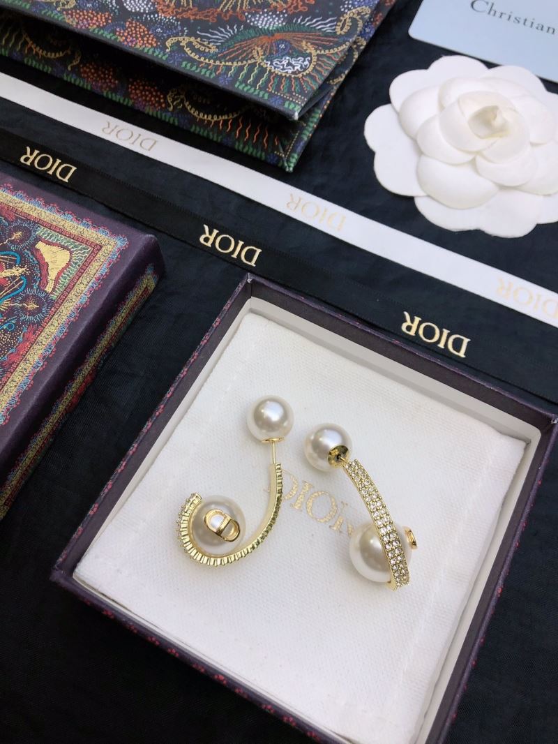 Christian Dior Earrings